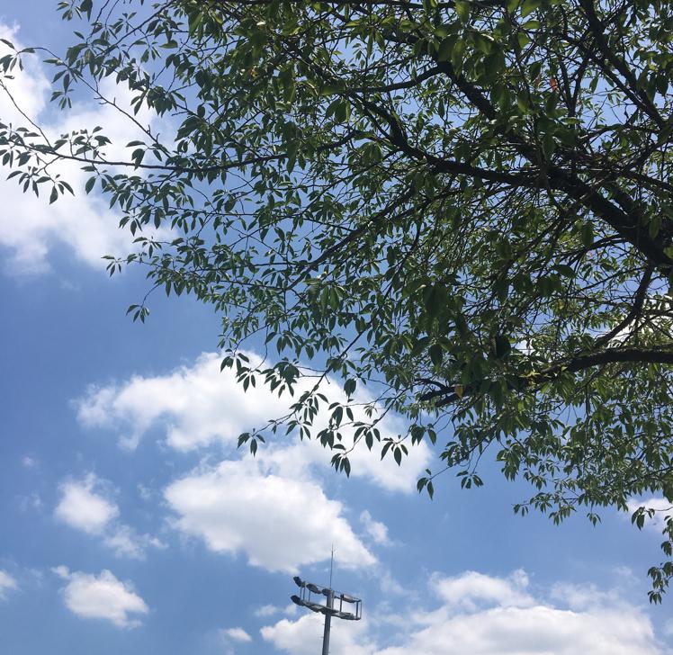 꽃ㅇ 프로필