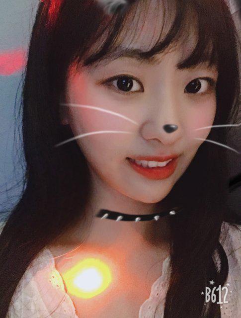 serena챈 프로필