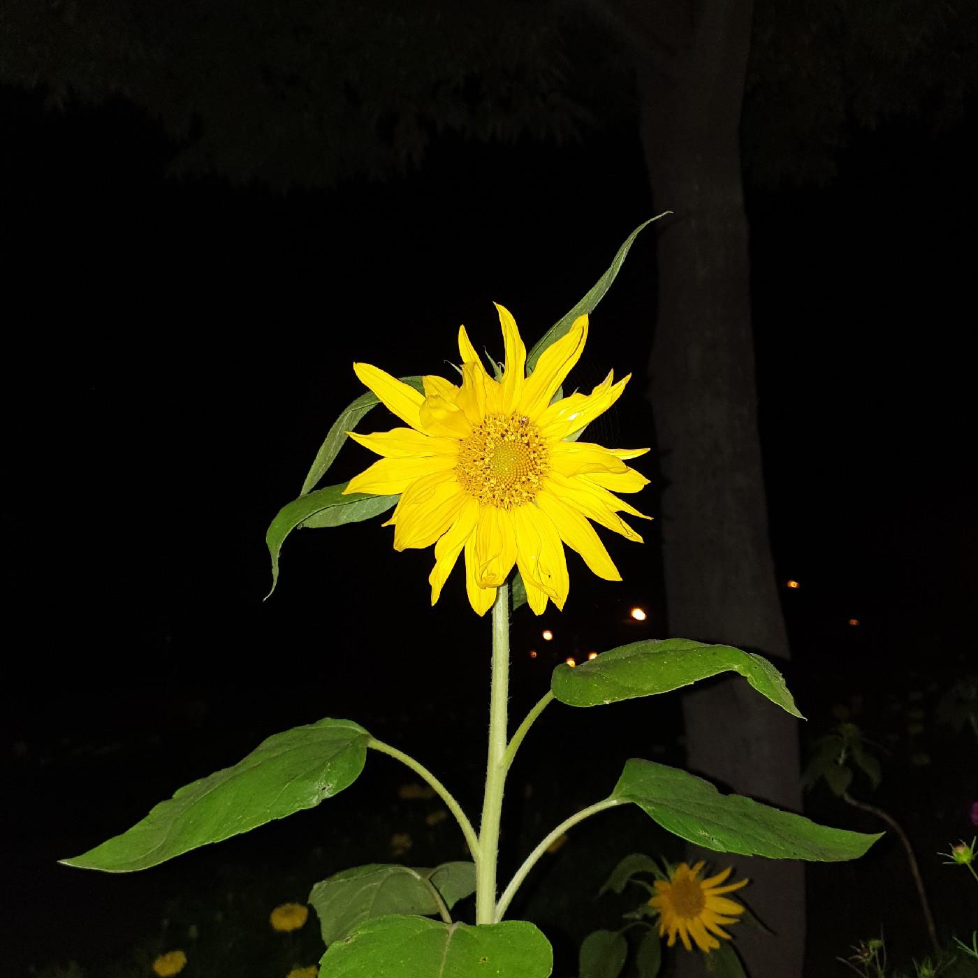 리뷰어 프로필
