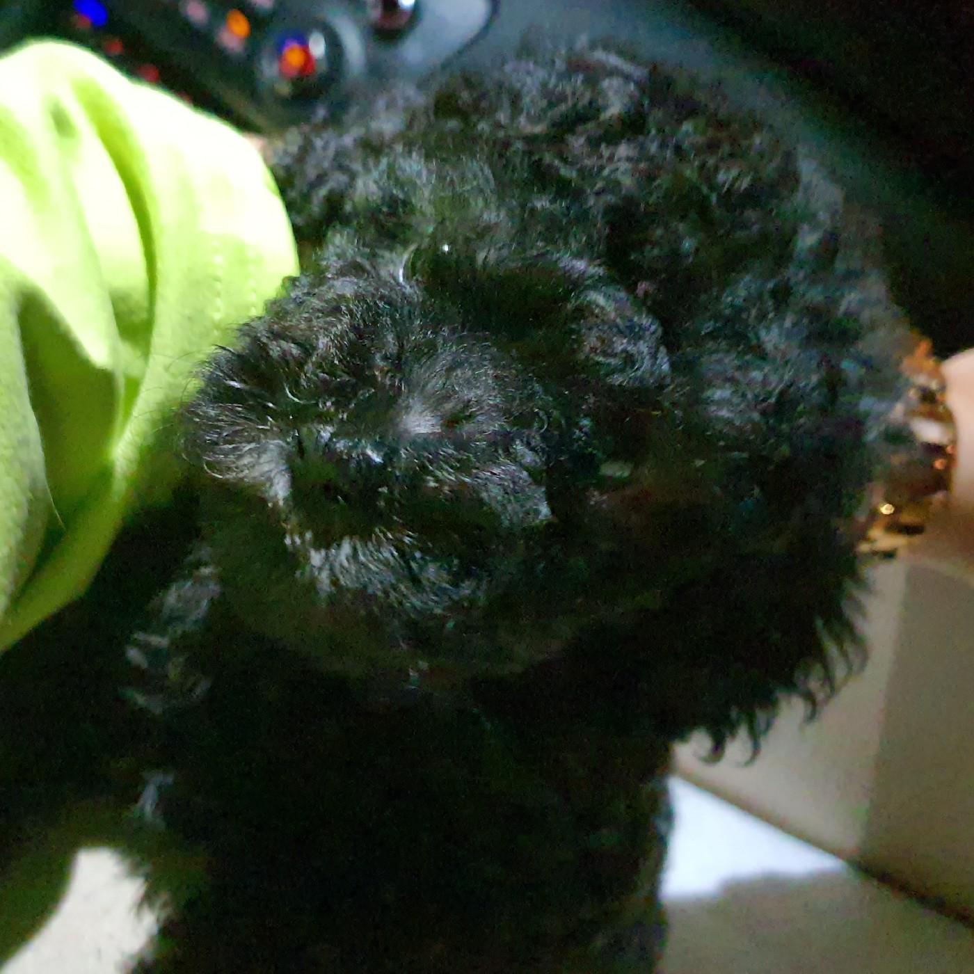 리뷰어 프로필