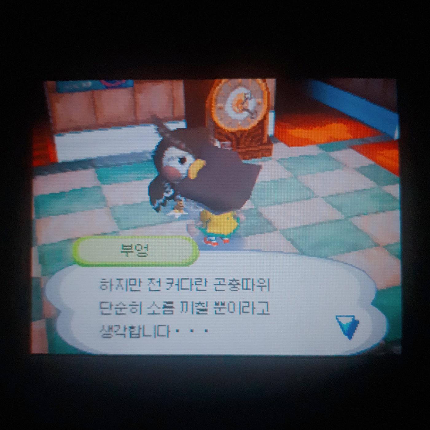 행둡 프로필