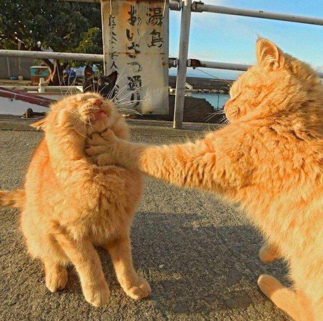일밍이밍 프로필
