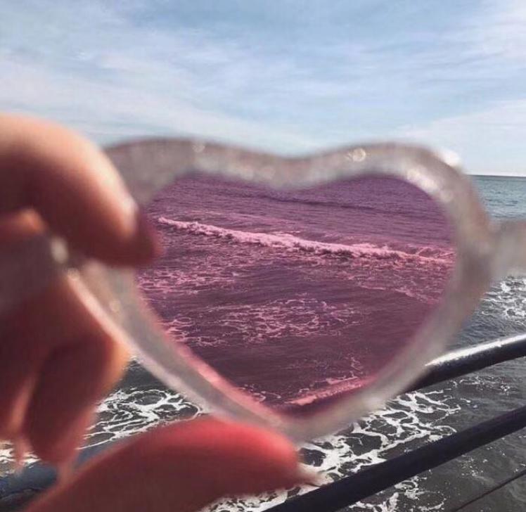 리뷰어 프로필