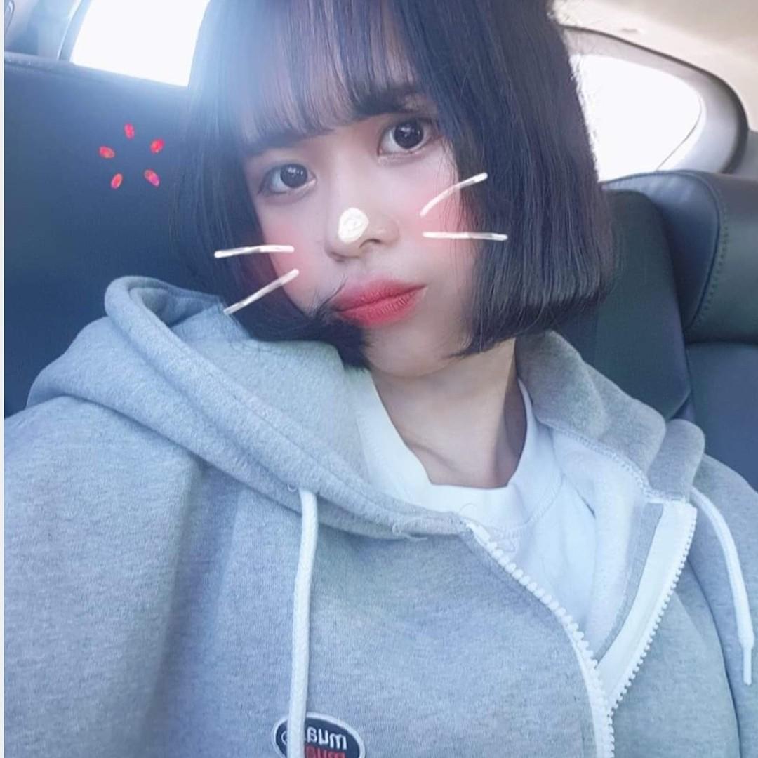 횬더 프로필