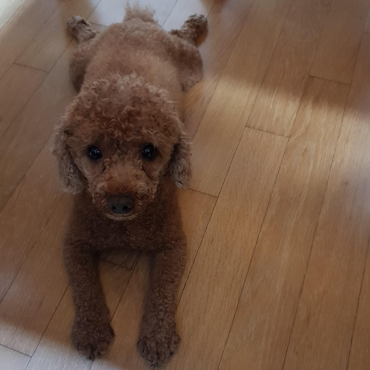 우연경 프로필