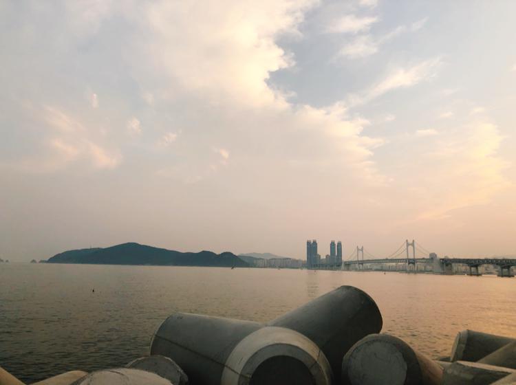 지그라미 프로필