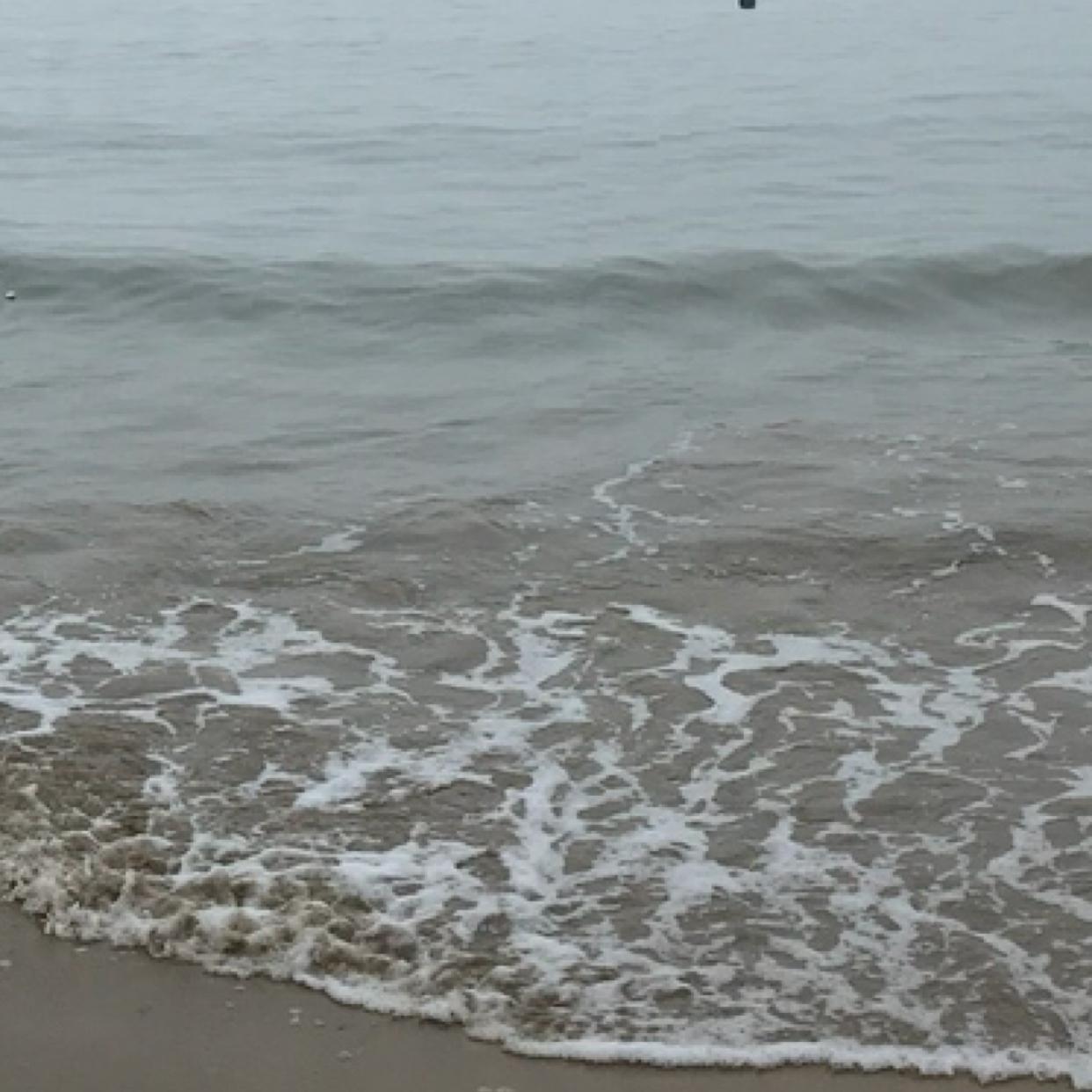 리뷰어 프로필