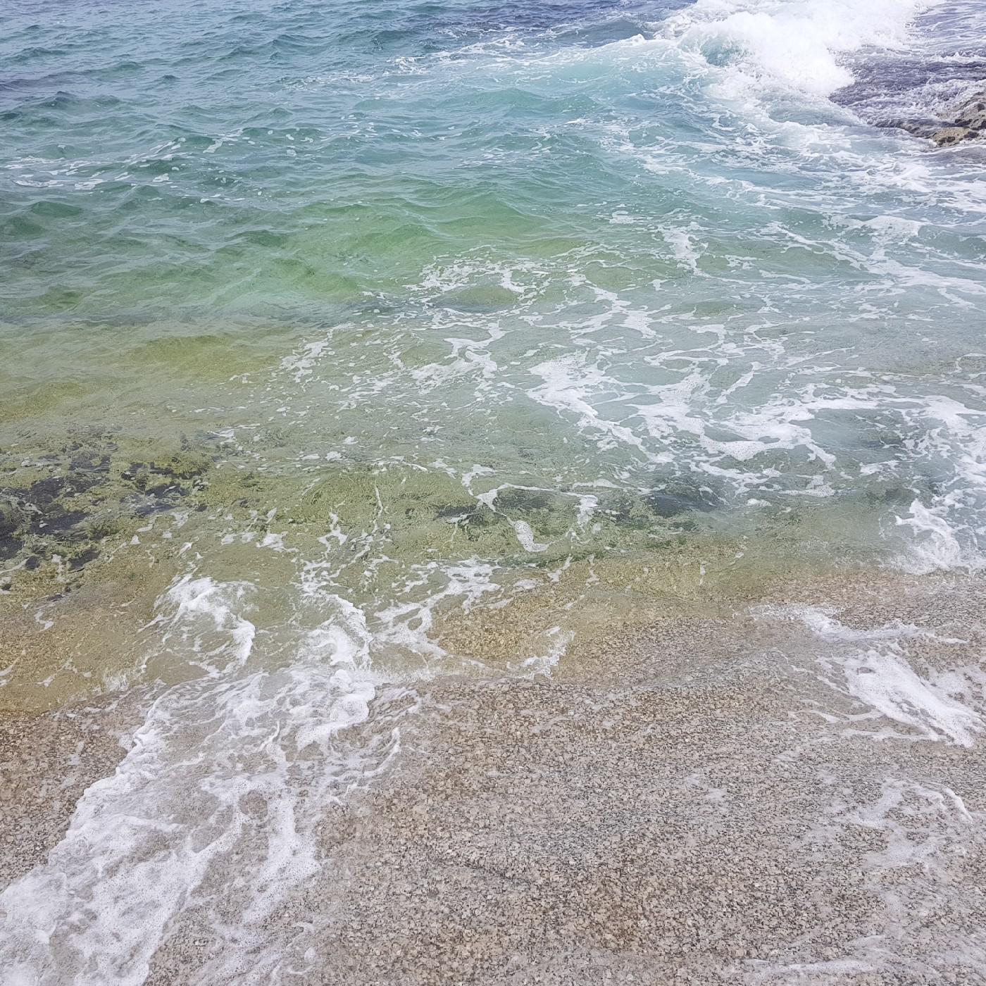 플라워로드 프로필