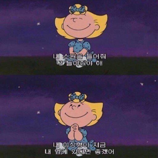 안다9 프로필