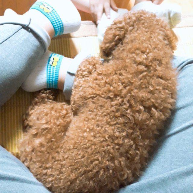 리뷰어 프로필