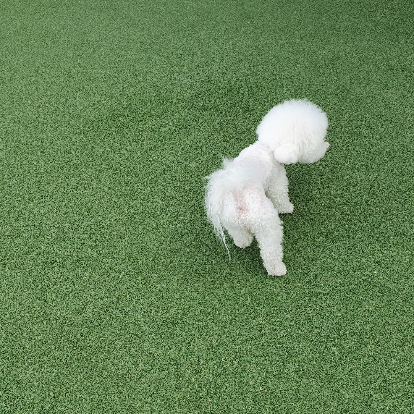 우우정정 프로필
