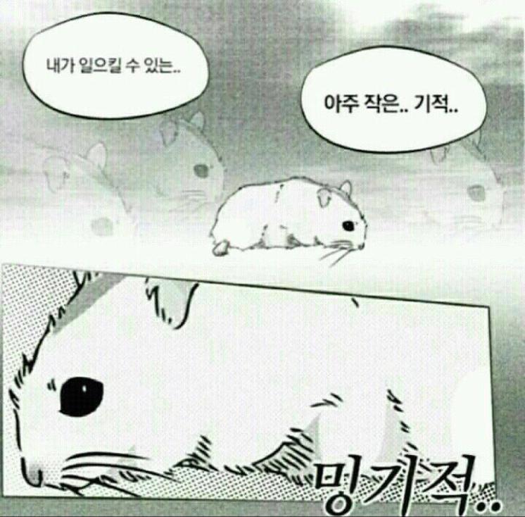bigiem 프로필
