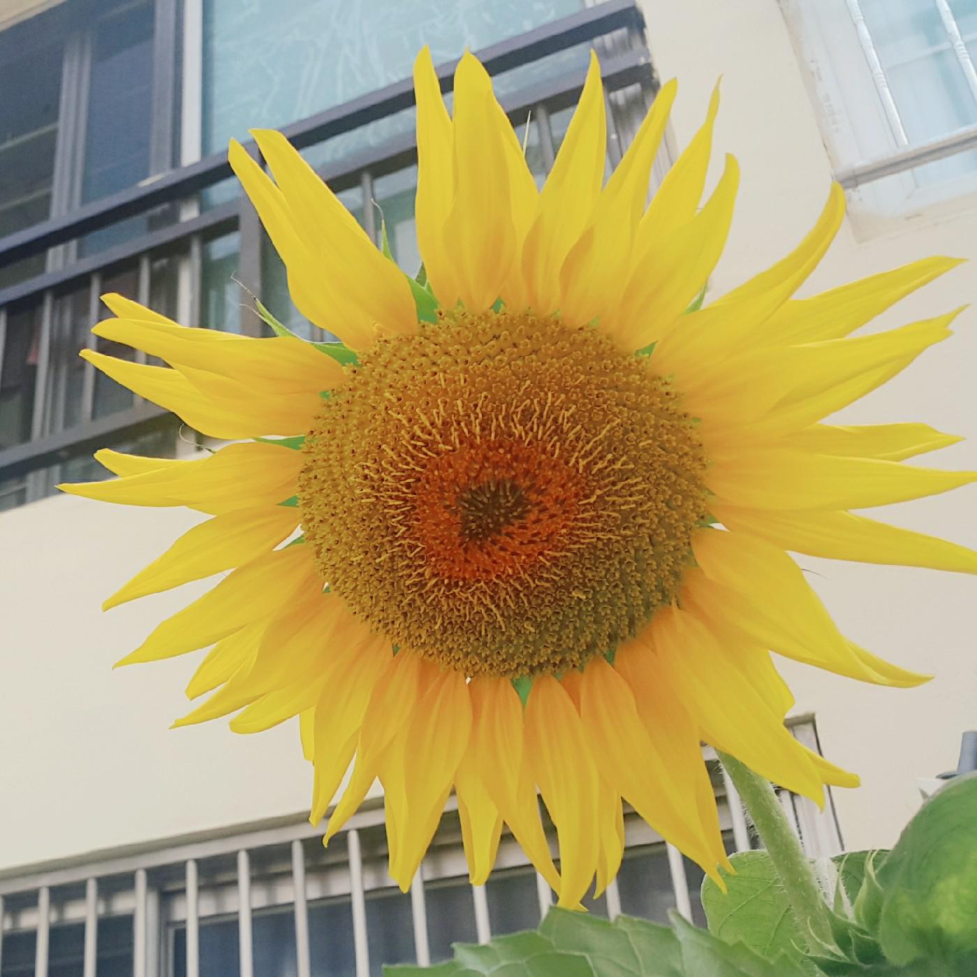 arashi0413 프로필