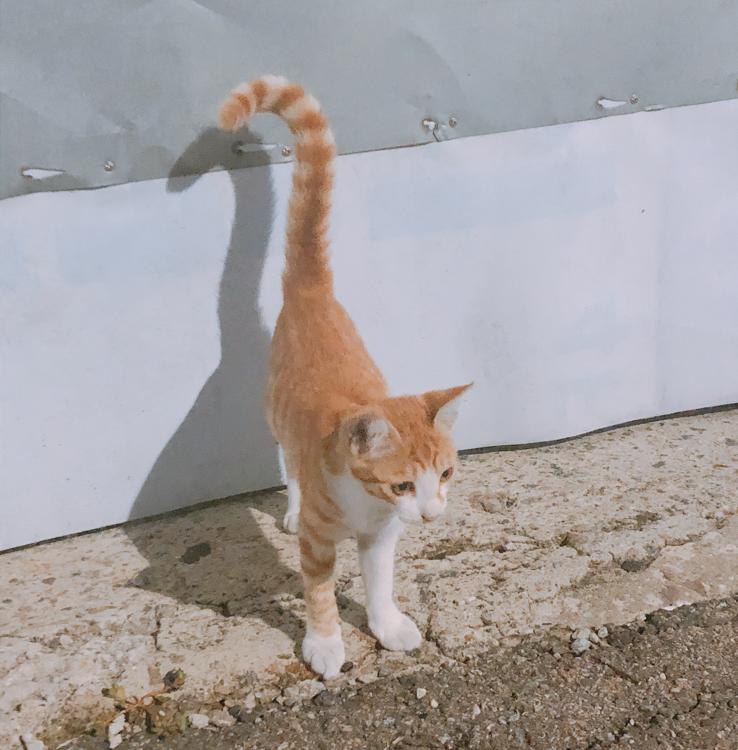 es_123 프로필