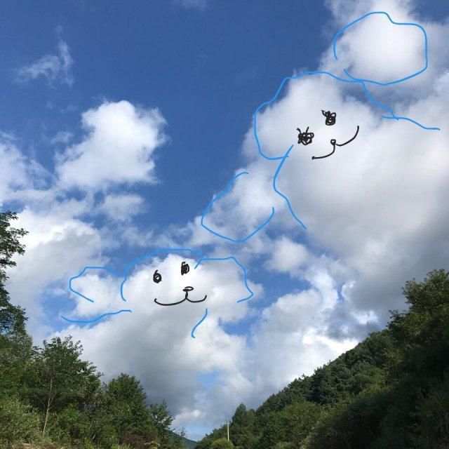 토랭 프로필