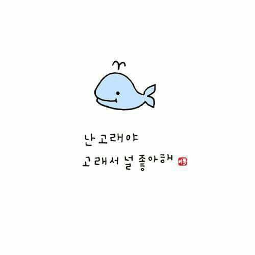 지찌민찌 프로필