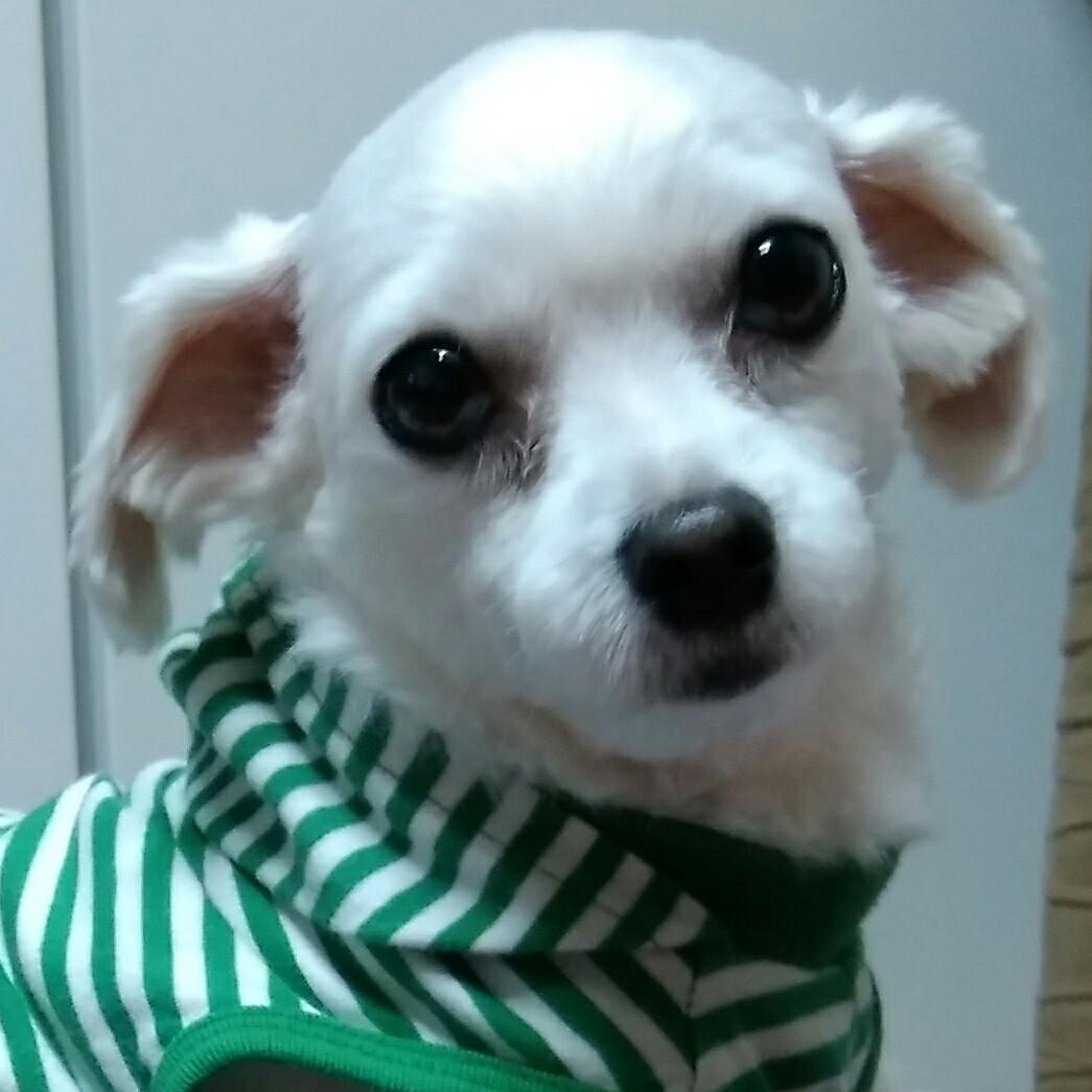 뚱잌 프로필