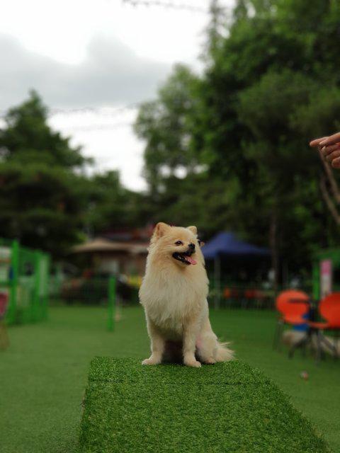 호랭맘 프로필