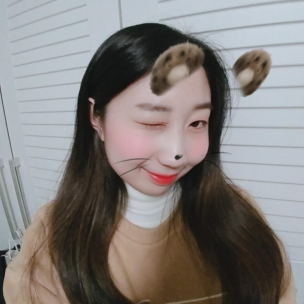 JoYfU 프로필