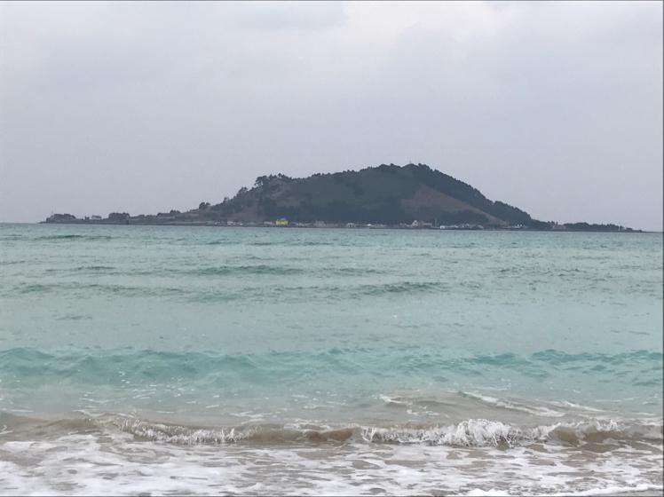유띤이맘 프로필