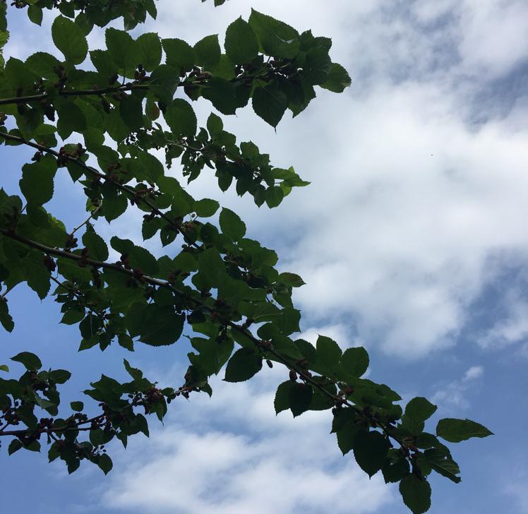 뀨뀨뀨우 프로필