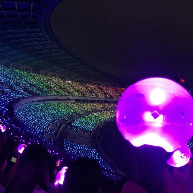 koya 프로필