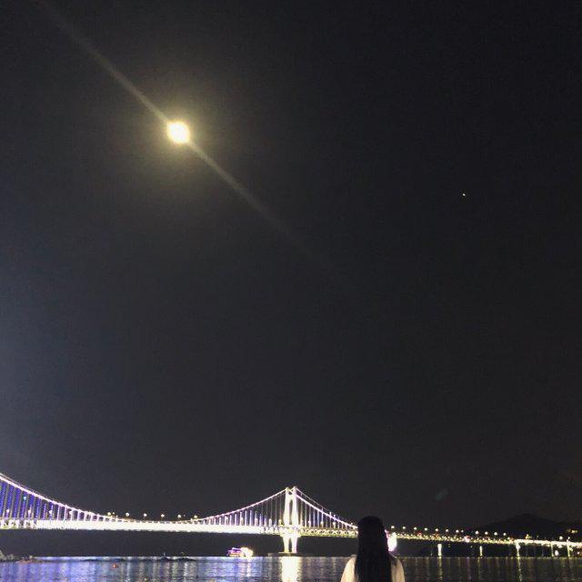 뿌뿌위위웅이 프로필