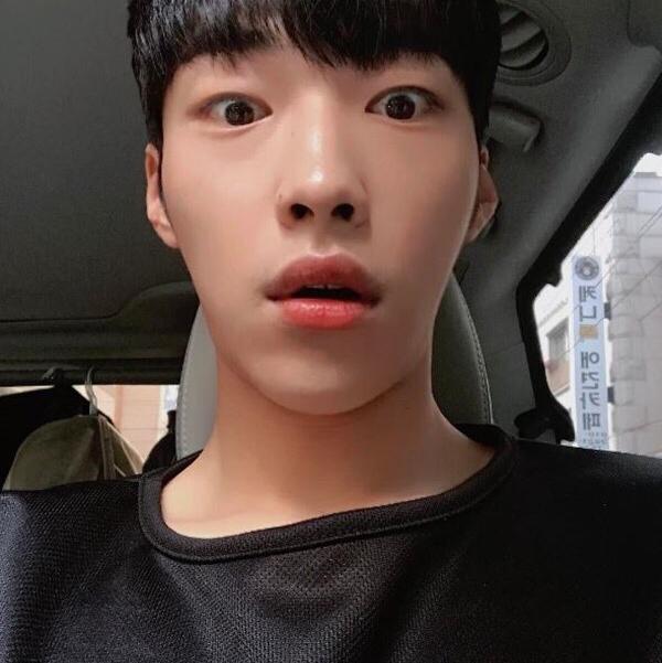 도라미손 프로필