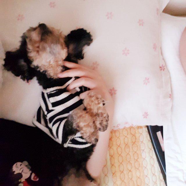 엘리무 프로필