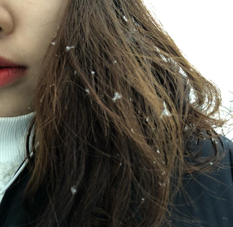 이수아@-@ 프로필