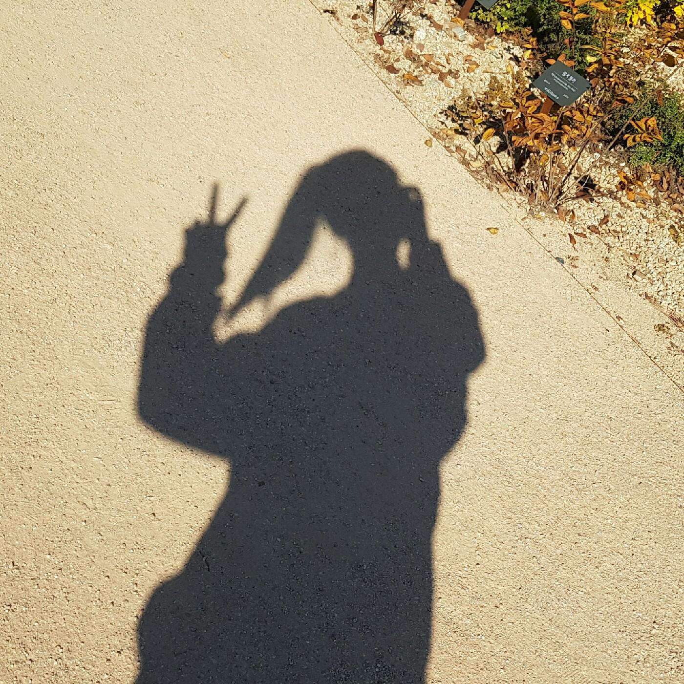 .양양. 프로필
