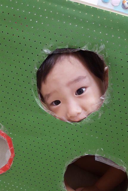 달콤은여우 프로필