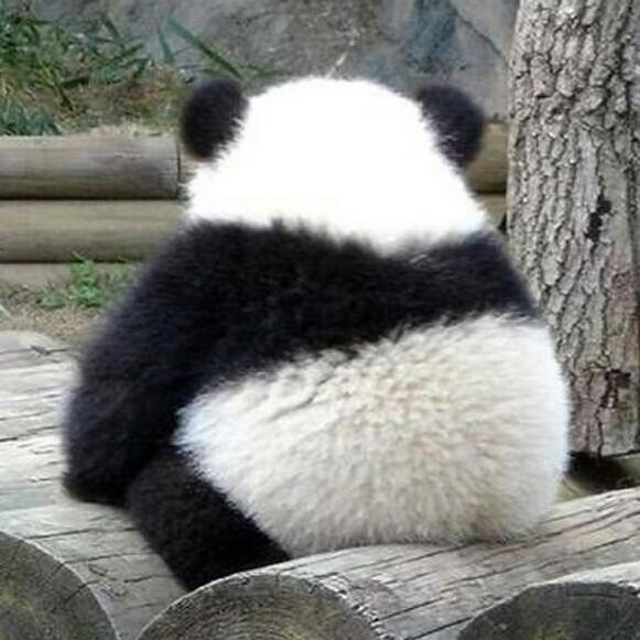 임네임 프로필
