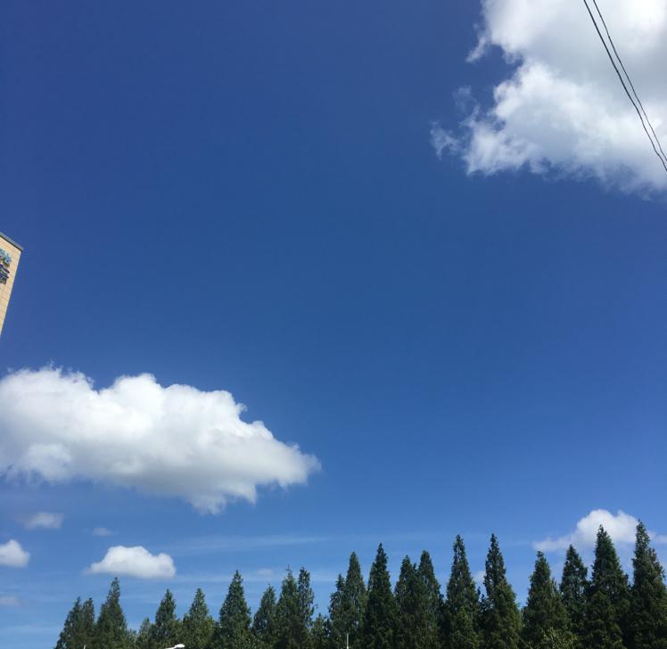 choiful 프로필