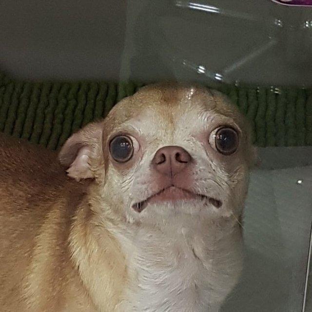 꺄앙아ㅏㅇㅇ 프로필