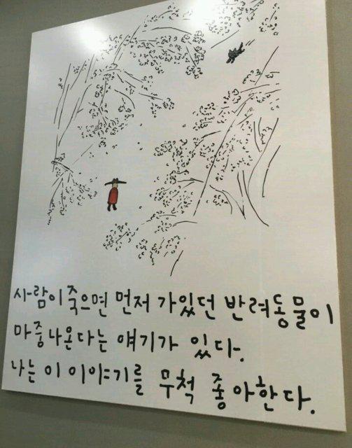 꾸아아엉 프로필
