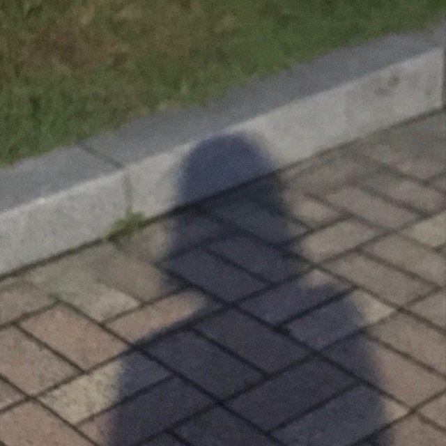 림여 프로필