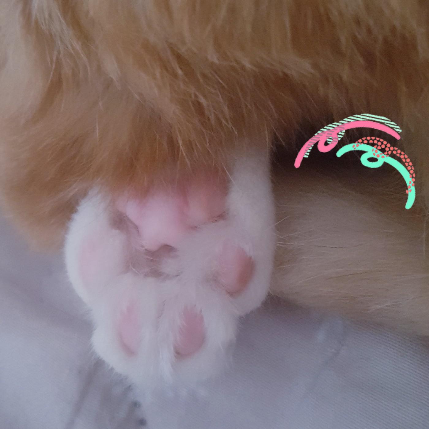 하랑님 프로필