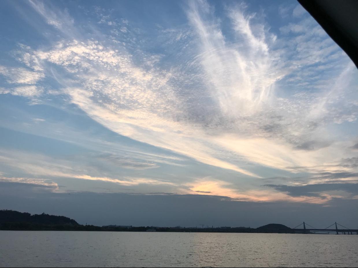 비비안1004 프로필