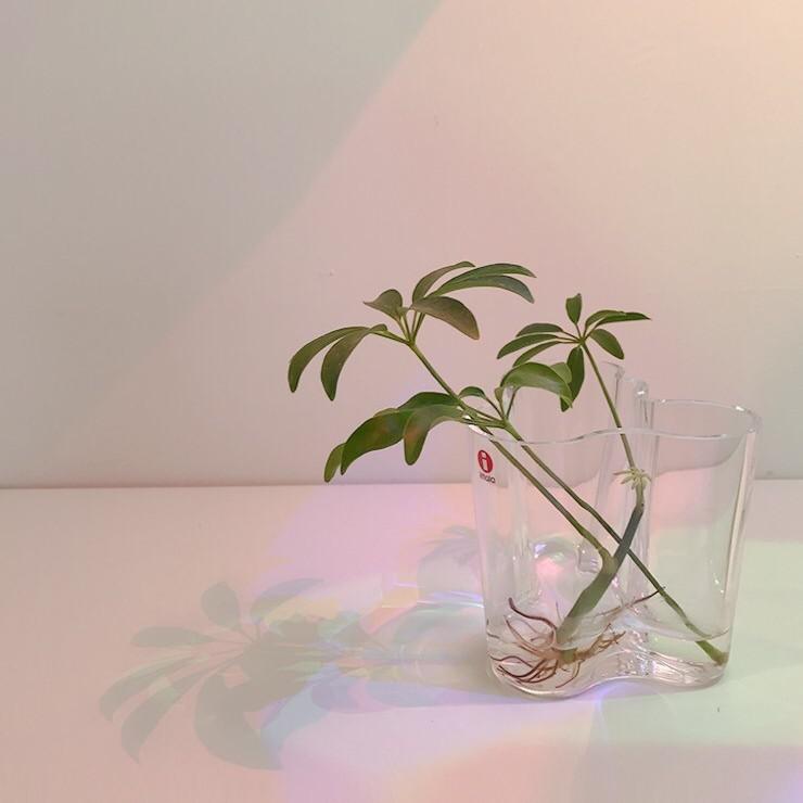 소히7 프로필