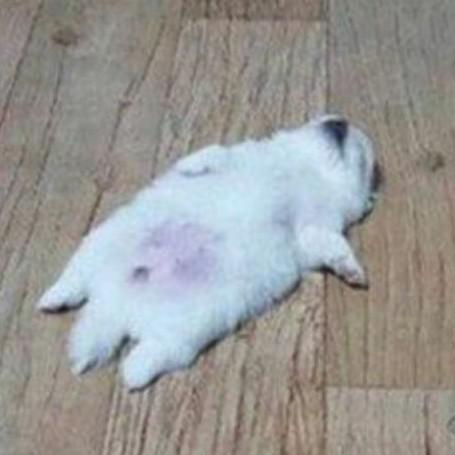 리뷰어 프로필