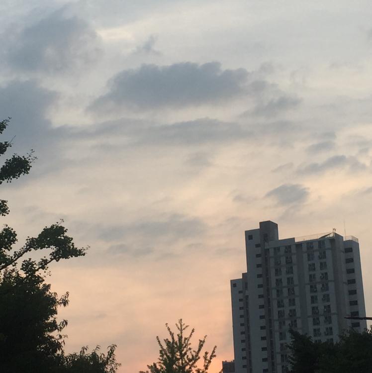 김민주minju 프로필