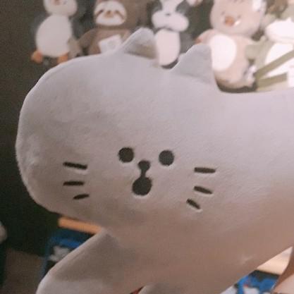 야호오오 프로필