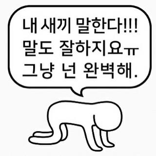빠새 프로필