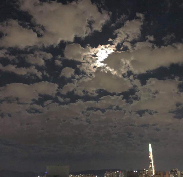 더딘 프로필