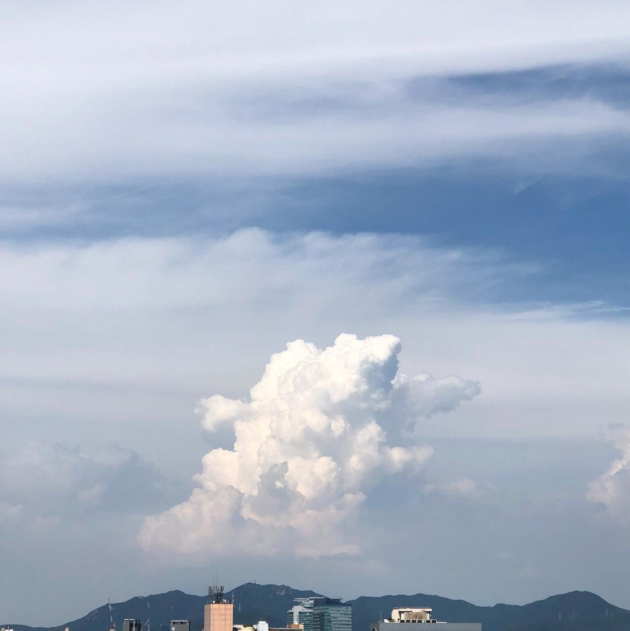 high5 프로필