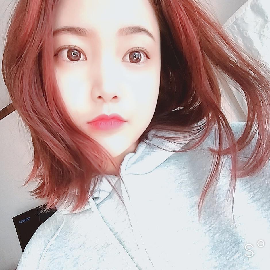 헬미플리즈 프로필