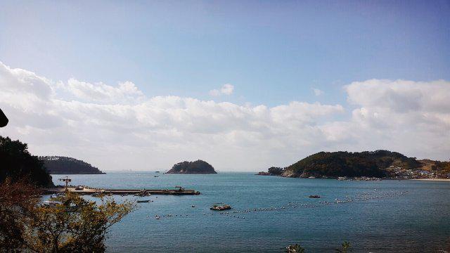 백로 프로필