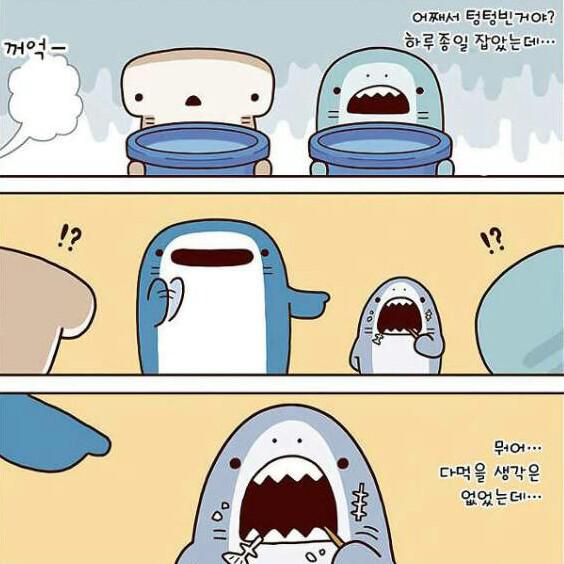 boa33905 프로필