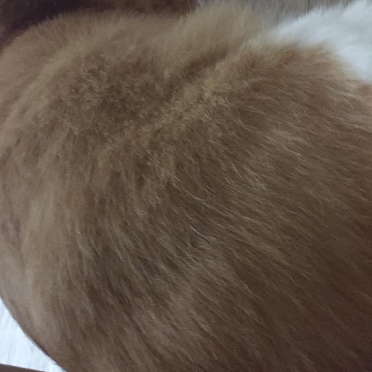 뷰티퀸퀸퀸 프로필
